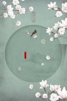 花季传媒优惠政策